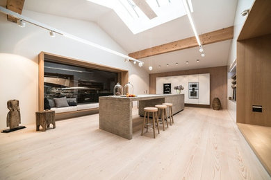 This is an example of a scandinavian kitchen with medium hardwood floors.