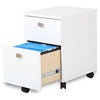 2-Drawers Mobile File Cabinet in Pure White Finish