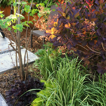 Urban Garden, North Denver