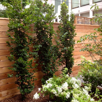 Leaside Makeover