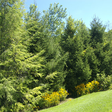 Plantings