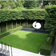 Front Yard Courtyard