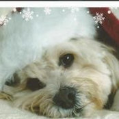 Patty Imbriglia's photo
