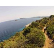 Joel Shotton's photo