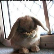 Lee Longmire's photo