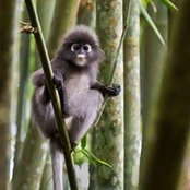 Irol Baldangos's photo