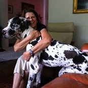 Robin Birkbeck's photo