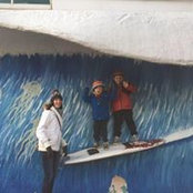 Chris Hardingさんの写真