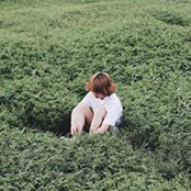 เตี๊ยะ ฟูs billede