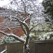Jason Williams's photo