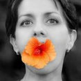 Terracegallery's profile photo