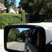 Gregory Szoke's photo