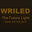 WRILED Lighting Factory