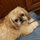 webuser_169797086