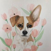 Alissa Hope's photo