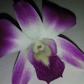 Валерия Майями's photo
