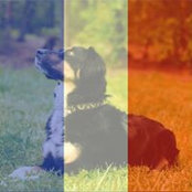 Foto von Laura Welch