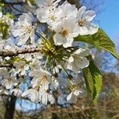 Judith Thommes's photo