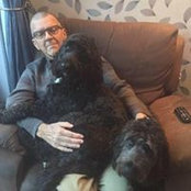 Nicky Chaplin's photo