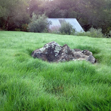 A Creek Runs Through It