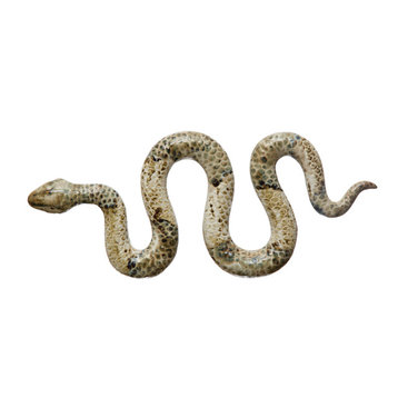 Decorative Debossed Stoneware Snake, Multicolor Reactive Glaze