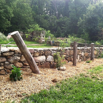 Fencing & Trellising