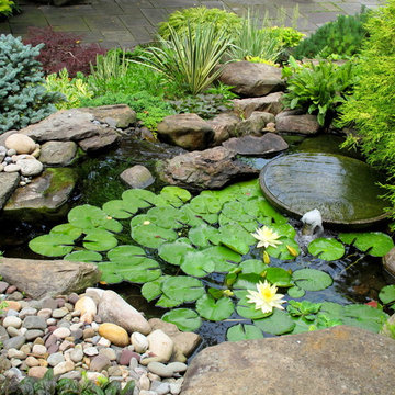 Steep Rear Hillside Garden