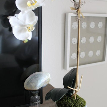 Coastal Condo