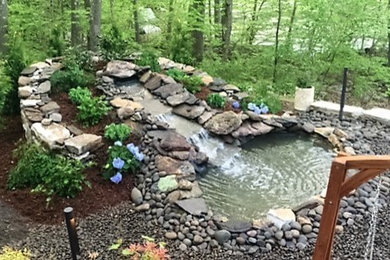 Water Feature