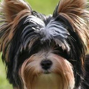 Vera Ellmers's photo