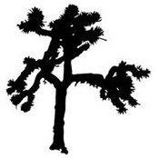 Mary Gaddy's photo