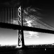 Trish Miller's photo