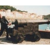 Gruffydd Williams's photo