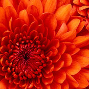 Wanda Ayala's photo