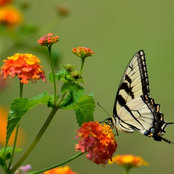 Marian Taliaferro's photo
