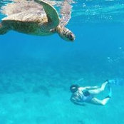 lindsay cope's photo