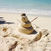 Darcy Messineo's photo