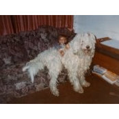 Josh Engmann's photo