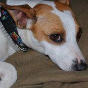 Lynne Schilling's photo