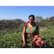 Saroj Poddar's photo