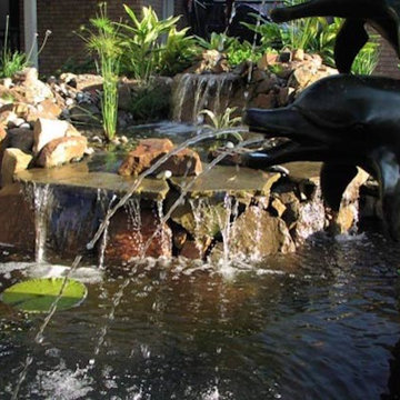 Waterfalls & Ponds