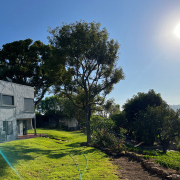 La Habra Heights