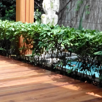 Roof Top Garden