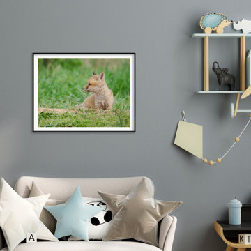 Baby Red Fox Chillin Rustic Farmhouse Style Wall Art Prints