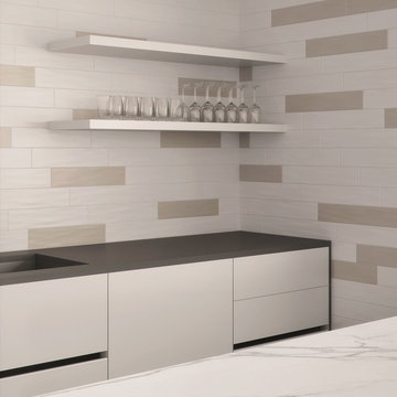Splash wall tile - Sand Dollar & Dolphin