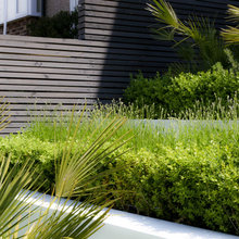 Front landscaping ideas