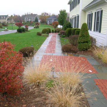 Fall Colors