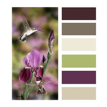 COLORS