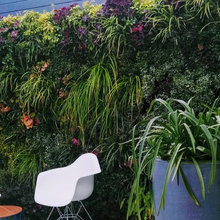Green Wall