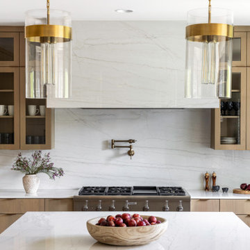 Vienna Contemporary Kitchen